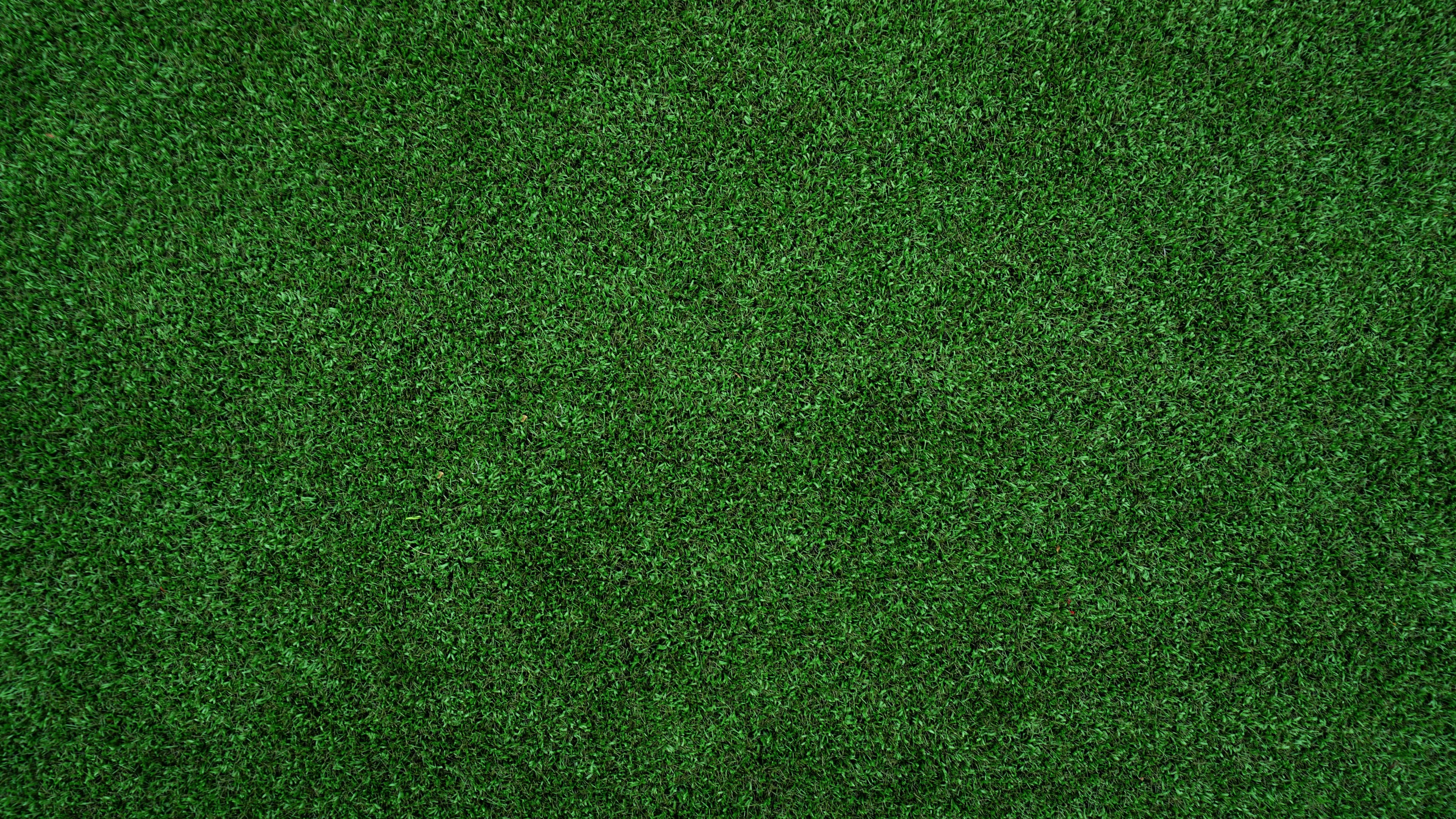 Artificial Grass