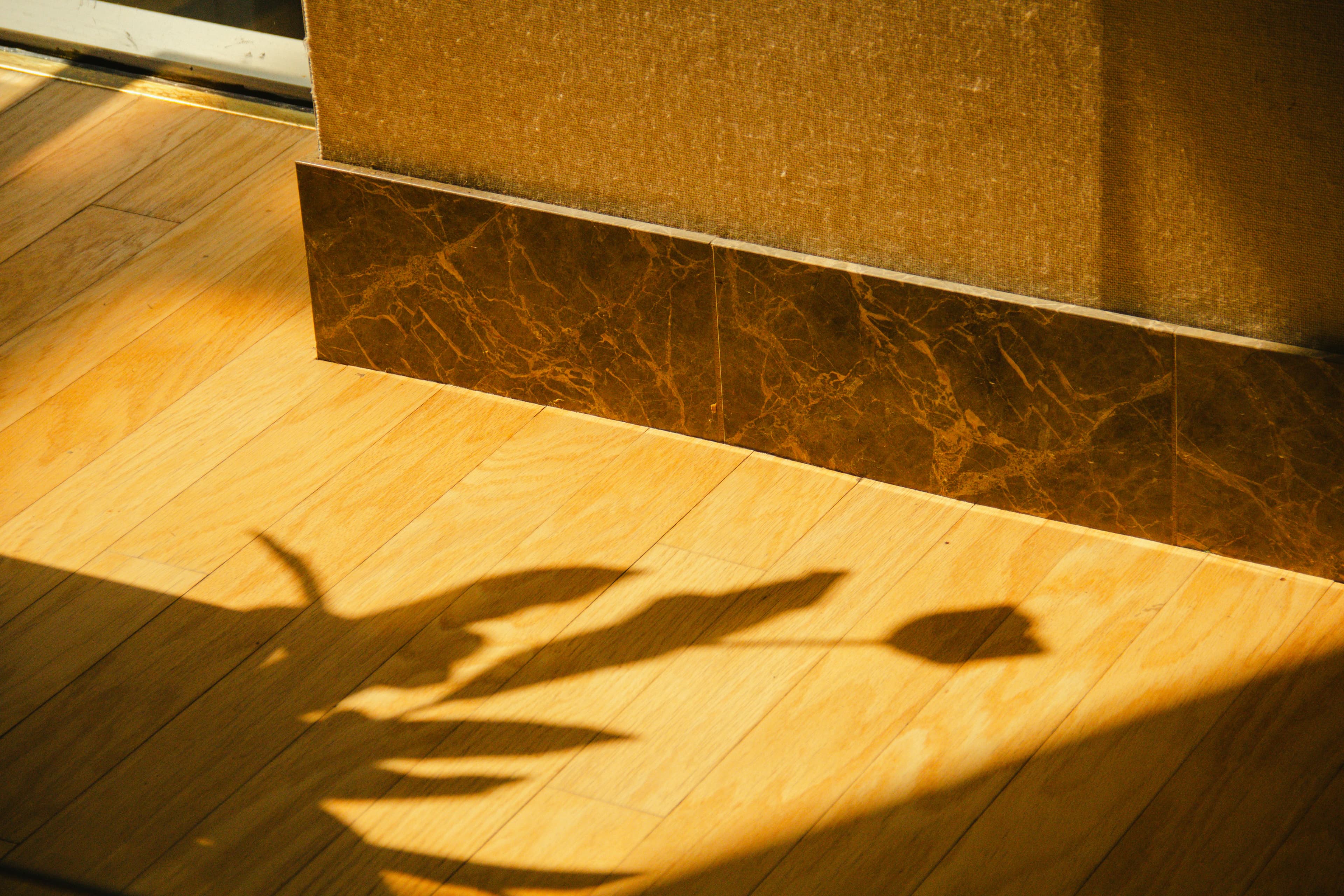 Modern living room with timber-look flooring